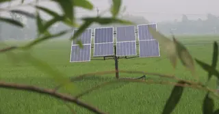 সোলার সেচ পাম্পে বদলে যাচ্ছে ঠাকুরগাঁওয়ের কৃষি ব্যবস্থা